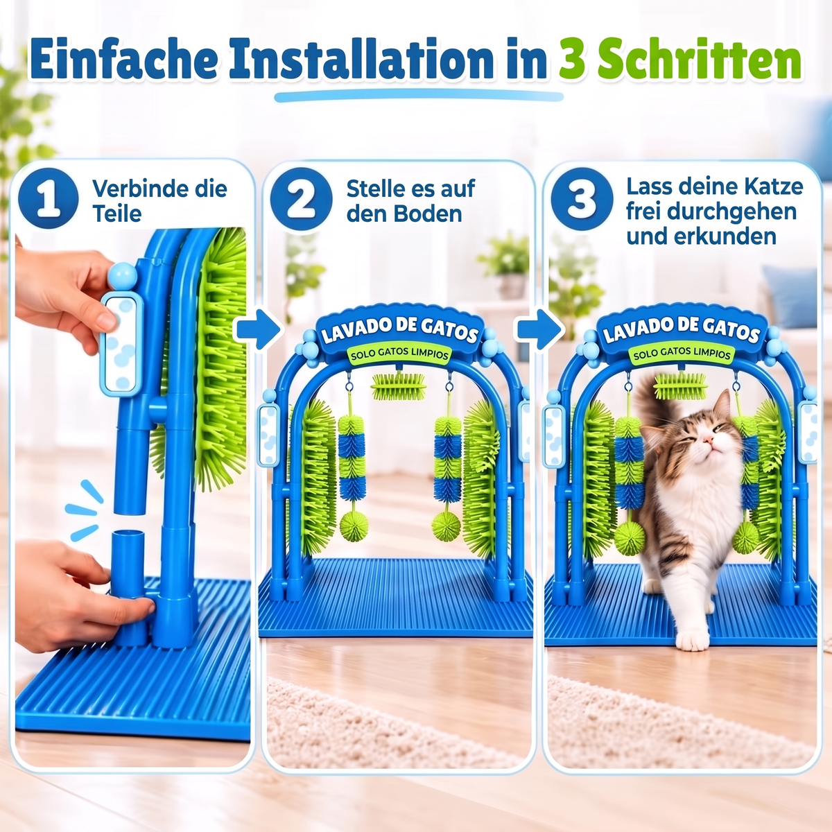Spa-Station für Katzen